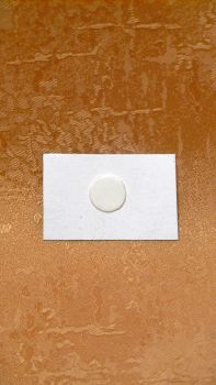 Wachsmotiv Hostie rund  Elfenbein15 / 15 mm       9107